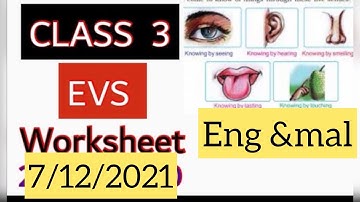 CLASS 3 Evs worksheet/7 December 2021/eduteacherkerala/Kerala syllabus