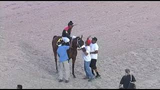 R4 Delta Downs USA