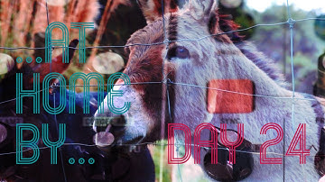 ..At Home By... Platero Y Lunero  ( Day 24 ) . Moog Grandmother, Massive X.