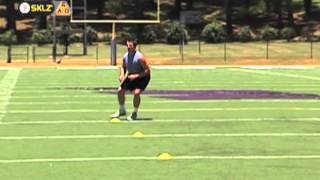 Lateral W Slides with Agility Cones