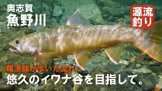 悠久のイワナ谷を目指して 奥志賀 魚野川最深部の源流釣り Beautiful Mountain Stream Fishing In Japan Youtube