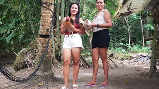 We Buy 5 Pieces Of Chicken To Slaughter Kami Ng Limang Pirasong Manok Na Katayin. .