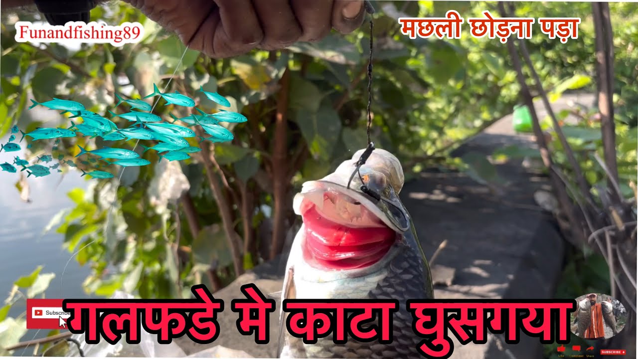 मछली छोड़ना पड़ा (@Bass Fishing Productions)