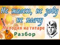 Не жалею, не зову, не плачу - мелодия на гитаре. Разбор.