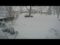 Snowfall time-lapse Jan18 2020