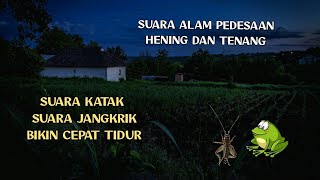 Suara jangkrik dan kodok di pedesaan pada malam hari bikin tenang untuk pengantar tidur