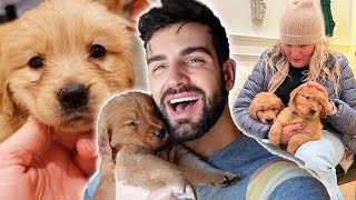 My Mom Wants One Of The Puppies!! | Episode 21