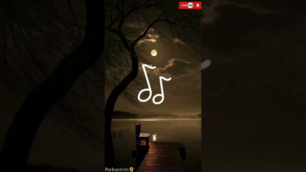 Maring love song//Duikur manei Lyrics 🎶📝//