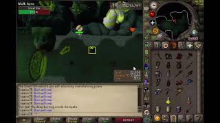 Head Phase 4:1 Twisted Bow - Great Olm