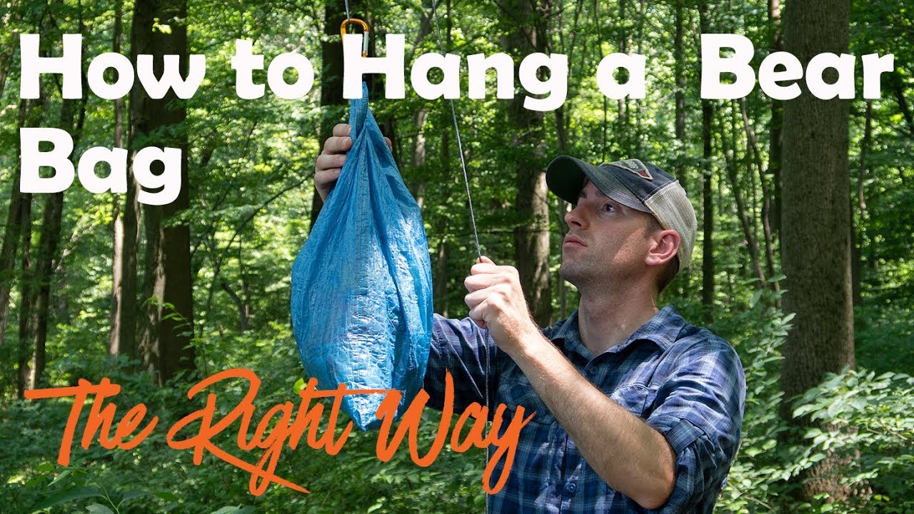How to Hang a Bear Bag The Right Way YouTube
