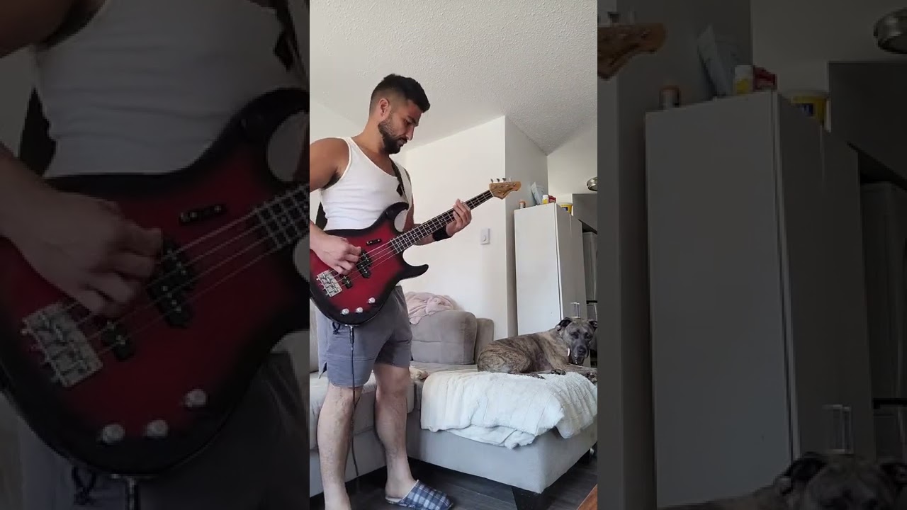 THE PATIENT - TOOL (BASS COVER) BY G-BABY AND THE SLEEPY PUPS