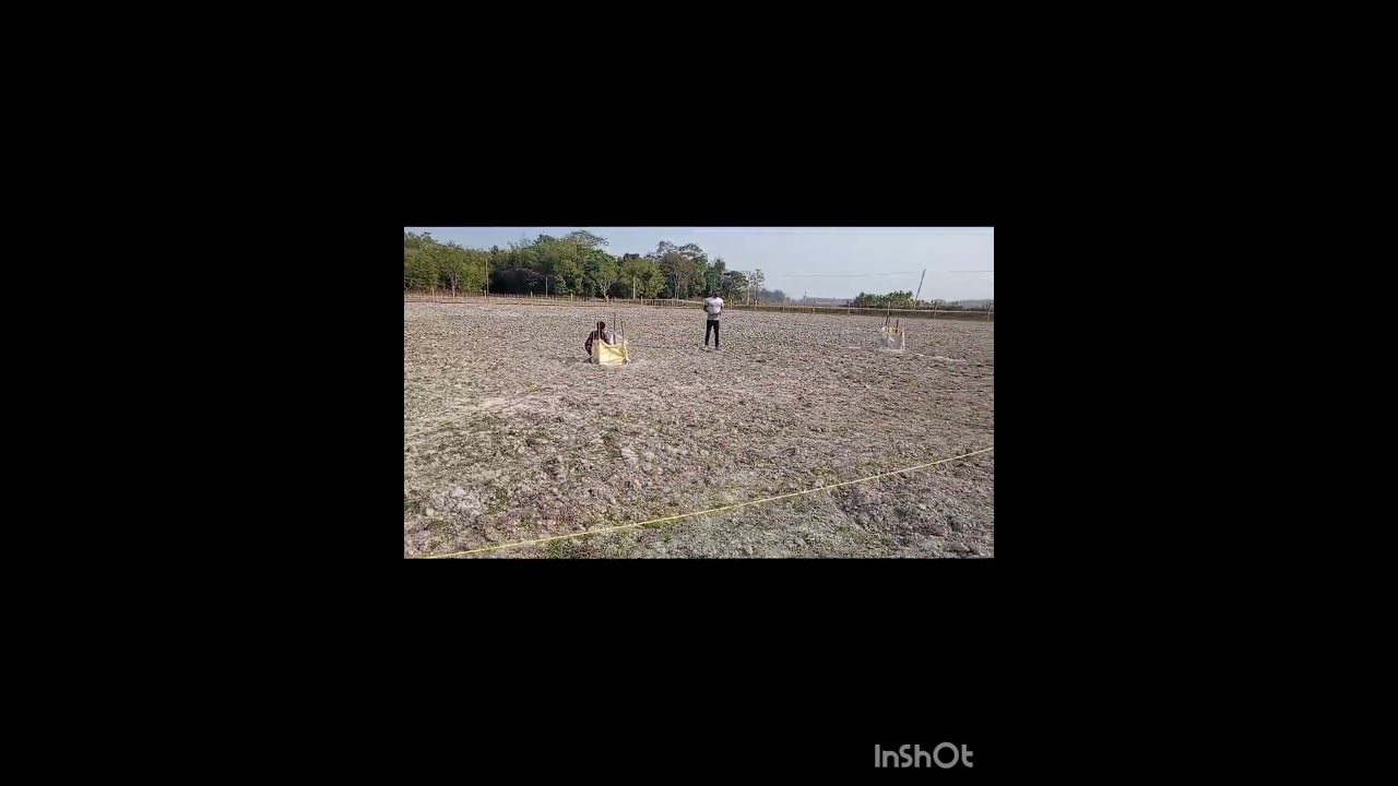 measurement for plantation palm oil plant 