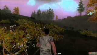 H1Z1 Bear Attack