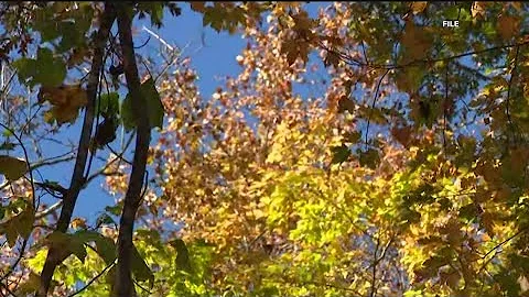 Fall foliage is emerging across the north Georgia mountains; how the drought could impact the peak