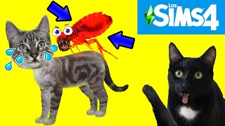 Gato con pulgas en SIMS 4 con gatos Luna y Estrella / CAP 14 Trillizos en casa / Videos de gatitos