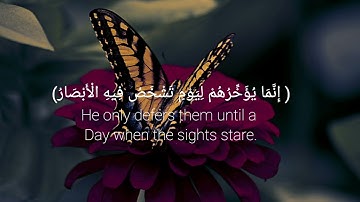 القارئ احمد المرشدي🌿حالات واتس قران كريم بصوت جميل🌿قران حالات واتس🌿حالات واتساب قران🌿راحه نفسيه