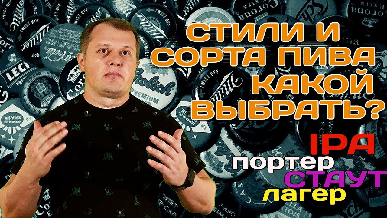 Сорта и стили пива: лагер, стаут, IPA, бланш, ламбик. Какой выбрать?