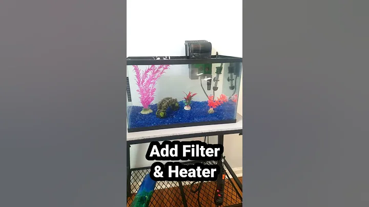 HOW to set up a FISH Tank only for $60 #shorts