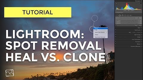 Lightroom Tutorial - Spot Removal -  What Is The Difference Between Heal And Clone?