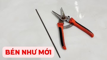 MẸO Đơn Giản, Đây Là Cách MÀI KÉO CẮT TỈA Cây Cảnh Bén (Sắc) Như Kéo Mới | Tóp 10 Sáng Tạo
