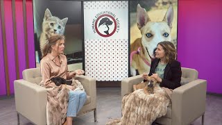 3 Plus Your Pets- Humane Educational Society