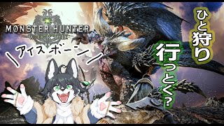【MONSTER HUNTER WORLD: ICEBORNE】装飾品とか集めながらだらだらと(ほぼ雑談)【初見さん歓迎】