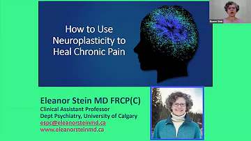How to Use Neuroplasticity to Heal Chronic Pain with Dr. Eleanor Stein