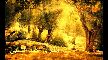 سورة يس للقارئ احمد الشلبي