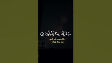 ولقد نعلم أنك يضيق صدرك بما يقولون | الآية 97 من سورة الحجر 😴🎧