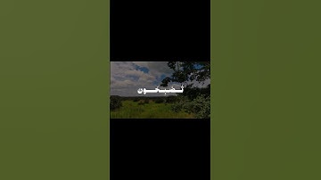 تلاوة خاشعة ومريحة المنشاوي رحمه الله من سورة الروم #المنشاوي #ياسر_الدوسري #quran #قرآن #قران_كريم