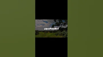 تلاوة خاشعة ومريحة المنشاوي رحمه الله من سورة الروم المنشاوي ياسر الدوسري Quran قرآن قران كريم 
