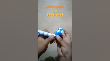 Snake cube🐱🐱🐱cat #rubikscube #viralshort #youtubeshorts @CubingPlanet @KingofCubers