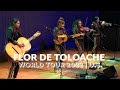 Flor De Toloache - US Tour 2022