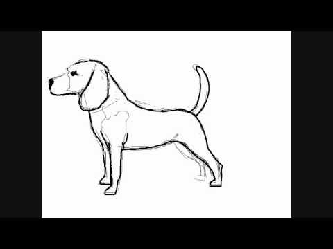Featured image of post How To Draw A Dog From The Side - How to draw a dog.
