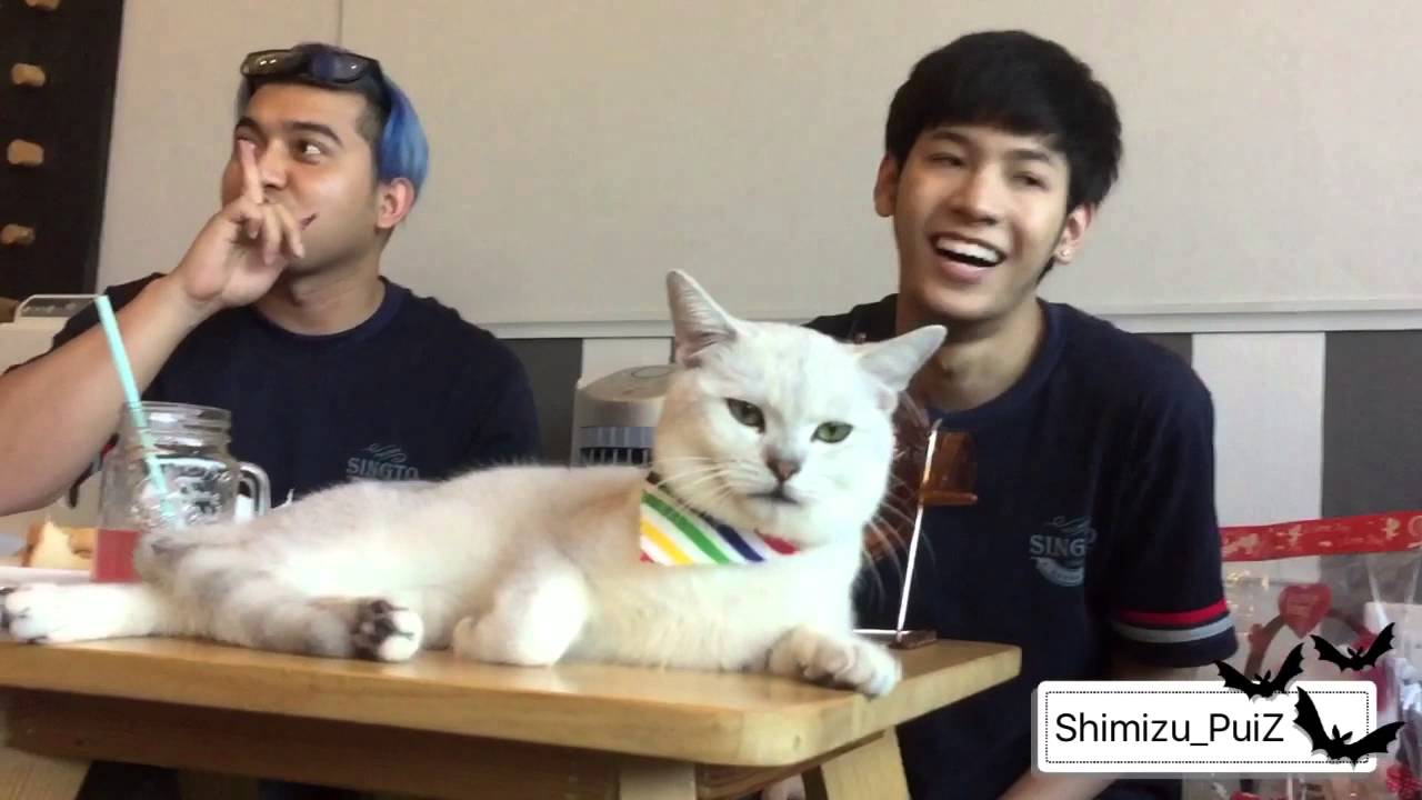 160214 สิงโต ปราชญา Singto Prachaya สิงโตผู้มุ้งมิ้งในการเล่นบิงโก