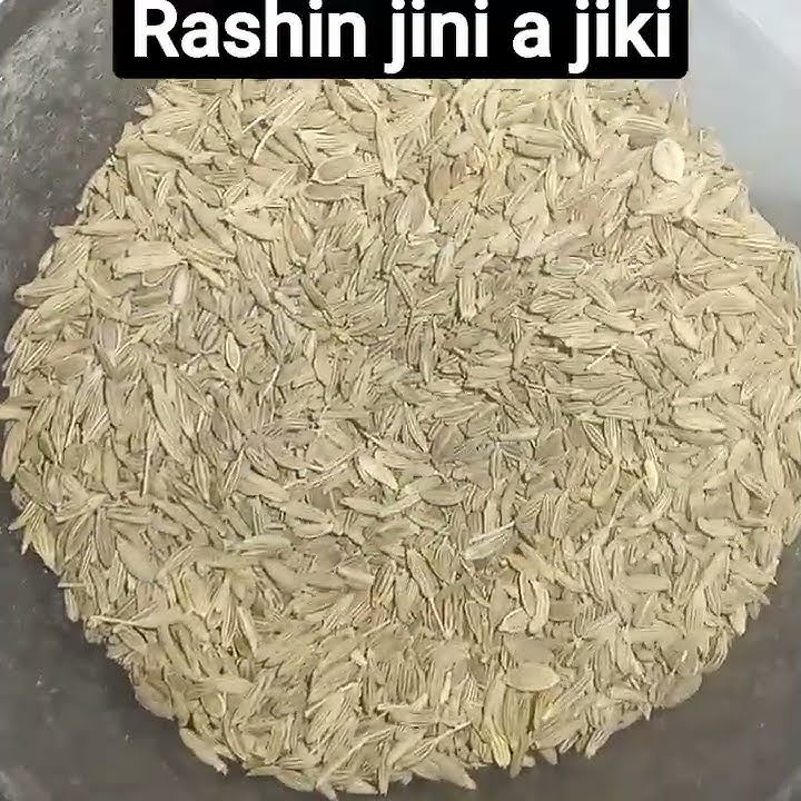 Rashin Jini A jiki