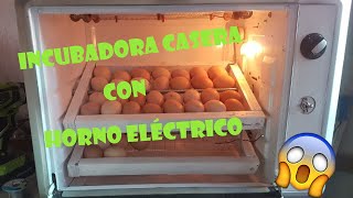 Incubadora Automática casera 40 a 50 huevos