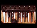Genesis taurus bass pedal sessions 14 undertow chorus