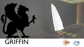 Analyzing aerodynamic forces of a finite flapping wing in wind tunnel
