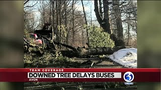 VIDEO: Tree impacts school bus in Avon, students stuck at school