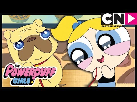 Суперкрошки | Собачья нянька | Cartoon Network