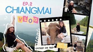 Omthip on trip เชียงใหม่ 2024 ep.2 ออบขาน, Rachel coffee, 2Bees cafe