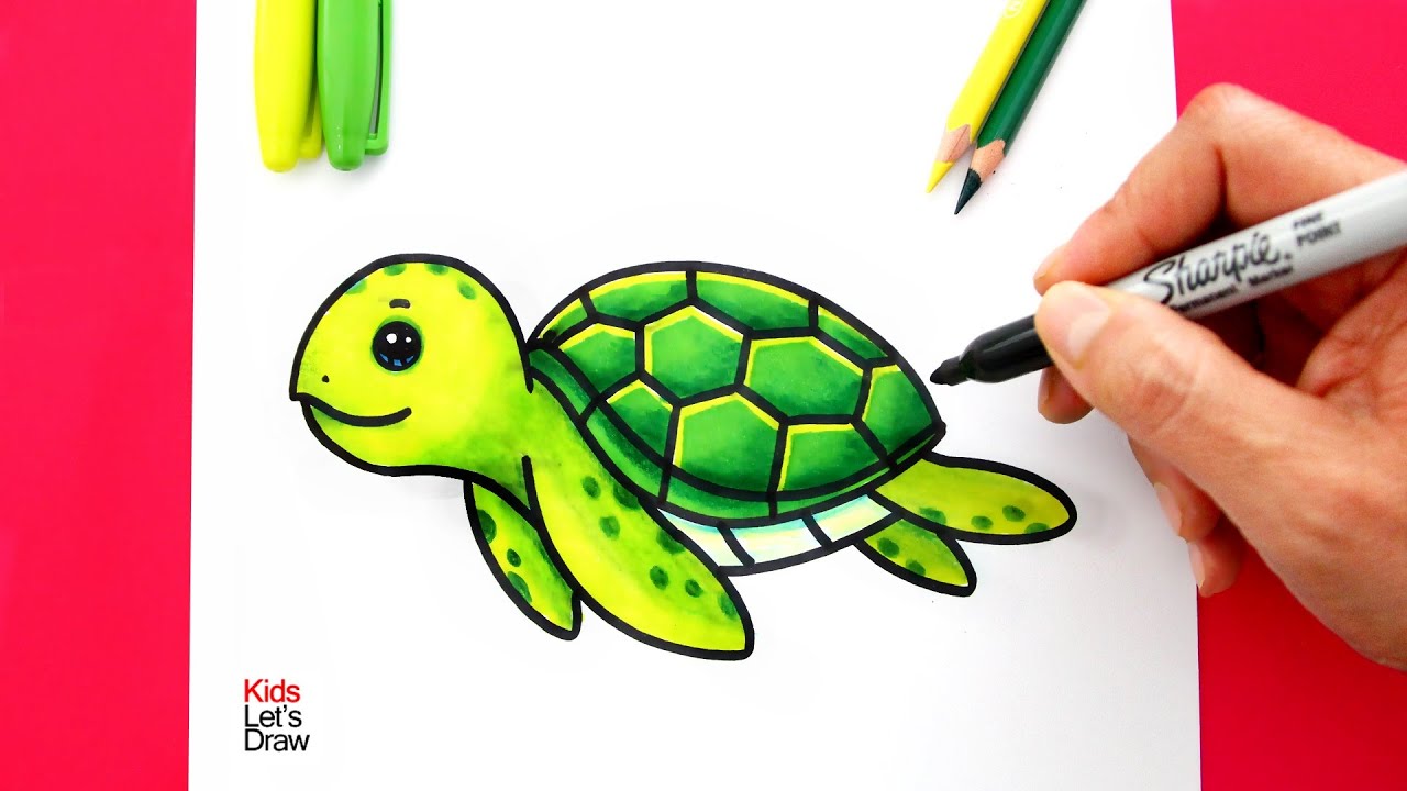 Cómo dibujar una TORTUGA DE MAR recién nacida | How to draw a cute Sea  Turtle - YouTube