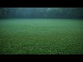 잠이 솔솔 오는 빗소리와 피아노 선율ASMR.5분뒤 깜깜무드