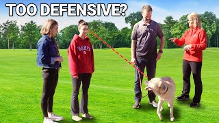 Tricks Dog Trainers Use to Stop Dogs from Getting Defensive by Shannon Walker - The Pack Leader 555 views 1 month ago 3 minutes, 54 seconds