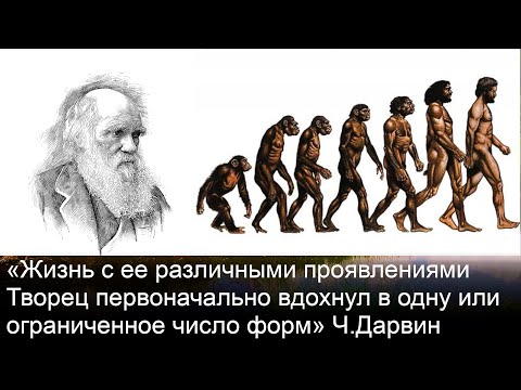 Правда ли, что