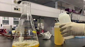 Expression and purification of His-tagged proteins from E. coli