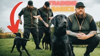 How To Teach Your Dog The Basics by Will Atherton Canine Training 93,201 views 2 months ago 4 minutes, 8 seconds