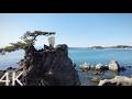【4K】Crossing the Miura Peninsula - Japan