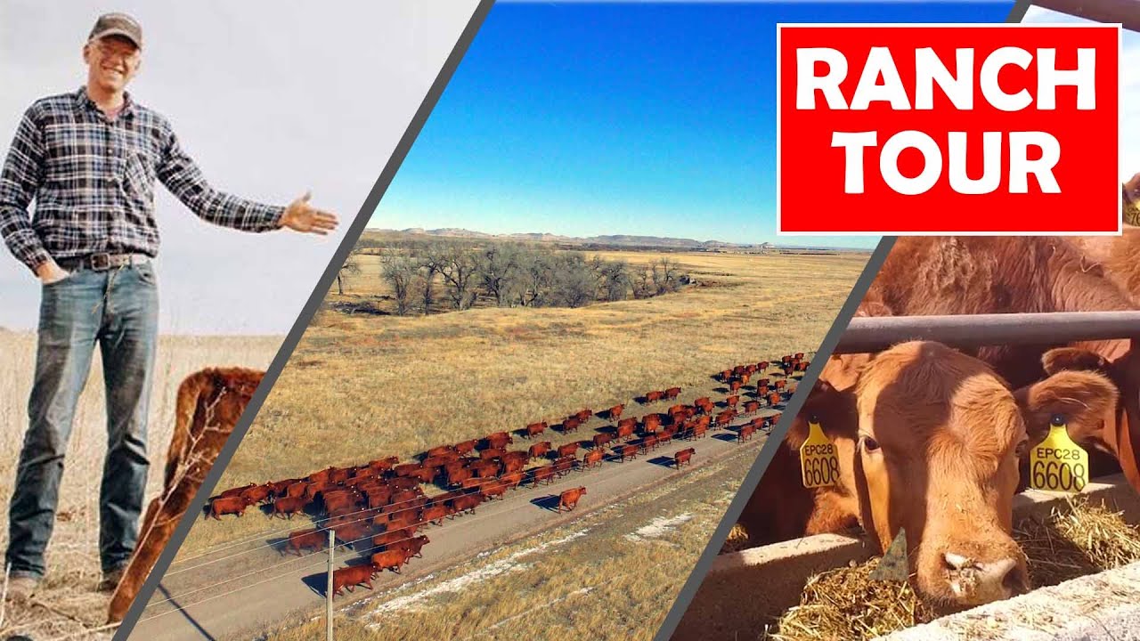 Youtube Ranch's Ranch Tour via DRONE! | Say Hello to the Cattle on the Ranch - YouTube